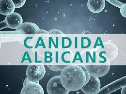 Bệnh do nấm Candida albicantis