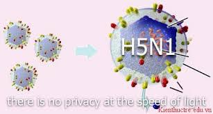 Bệnh cúm A/H5N1